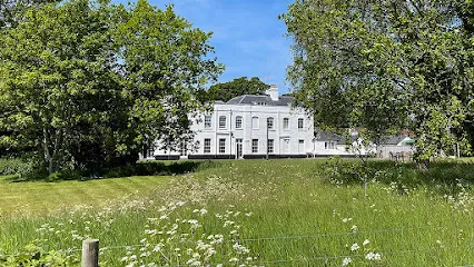 Georgian building framed by trees in a meadow